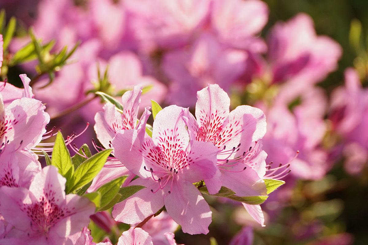 April 2023 Blog Recap